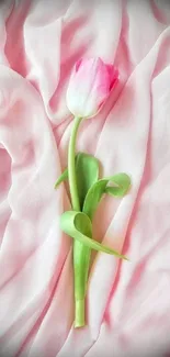 Elegant pink tulip on soft pink fabric background.