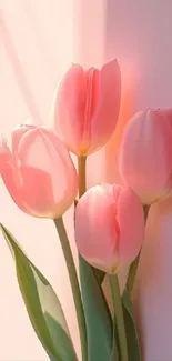 Elegant pink tulip wallpaper with soft tones.