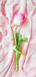 Elegant pink tulip on soft pink fabric mobile wallpaper.