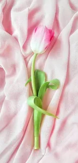 Pink tulip on pastel fabric background, elegant and calming.