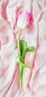 Single pink tulip on soft pink fabric background.