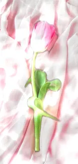 Graceful pink tulip on soft pink fabric background.