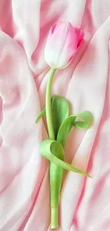 Pink tulip on soft pink fabric background, elegant mobile wallpaper.