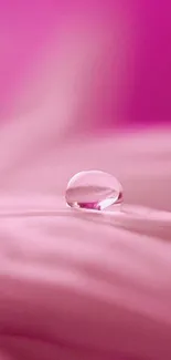 Elegant pink water droplet on a delicate petal.