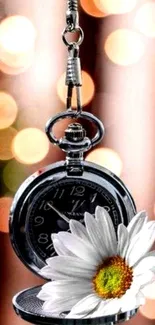 Pocket watch with daisy and bokeh background on wallpaper.