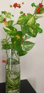 Pothos plant in glass vase against neutral wall background.