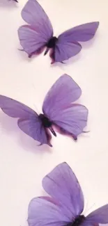 Four elegant purple butterflies on a light background.