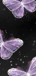 Elegant purple butterflies on a black background wallpaper.