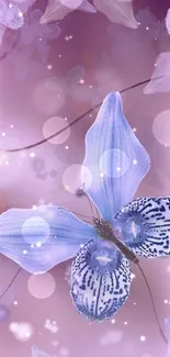 Purple butterfly with lavender tones on a floral themed background.