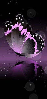 Elegant purple butterfly on black gradient background.