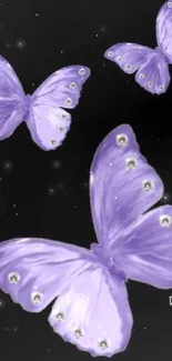 Elegant purple butterflies on a black background.