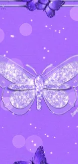 Purple wallpaper featuring elegant butterfly design.