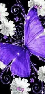 Purple butterfly with white flowers on black background.