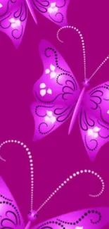 Purple butterfly wallpaper with elegant design on a magenta background.