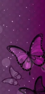 Purple butterfly wallpaper with elegant design on a vibrant background.