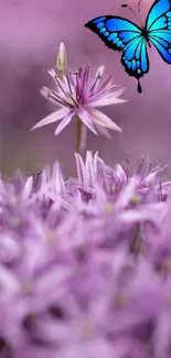 Blue butterfly above purple flowers in a serene natural setting.