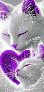 Two white cats with purple heart accent in artistic design.