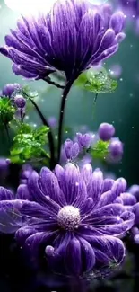 Vivid purple flowers with green leaves on a mobile wallpaper background