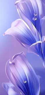 Delicate purple flowers with water droplets on a gradient background.