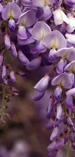 Elegant purple floral wallpaper with cascading blossoms.