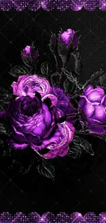 Elegant purple roses on a dark background wallpaper.