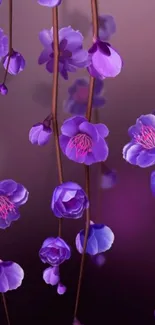 Elegant purple floral wallpaper with vibrant blossoms.