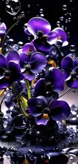 Elegant purple flowers with droplets on a dark background