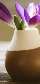 Mobile wallpaper with a purple flower in a ceramic vase.