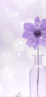 Serene purple flower in a glass vase, perfect for mobile wallpaper.