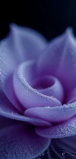 Close-up of an elegant purple flower with dewdrops on petals.