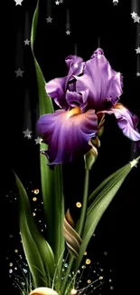 Purple flower with starry night background in elegant mobile wallpaper.