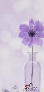 Purple flower in vase with love design on wallpaper.