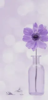 Purple flower in glass vase with bokeh background.