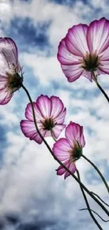 Purple flowers against a cloudy sky in a stunning mobile wallpaper.