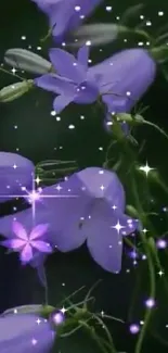 Purple flowers with sparkles on a dark background.