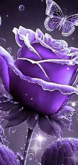 Purple rose with butterfly wallpaper design.