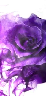 Purple rose with artistic swirling effects on white background.