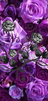 Purple roses with black floral design, elegant phone wallpaper.