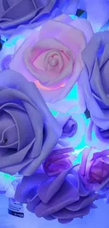 Elegant purple roses glowing softly in this mobile wallpaper.