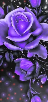 Elegant purple rose on a dark backdrop, perfect for mobile screens.