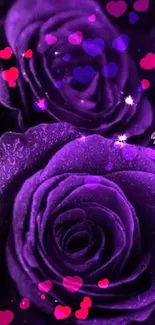 Elegant purple roses with water droplets, perfect for mobile wallpaper.