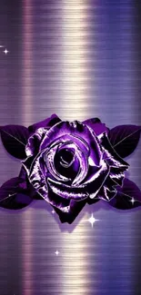 Purple rose with metallic background wallpaper.