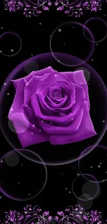 Elegant purple rose with floral design on black background.