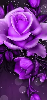 Elegant purple rose wallpaper with floral design.