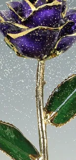 Purple rose with gold trim and green leaves on phone wallpaper.