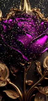 Elegant purple rose with golden details on a dark background.