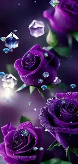 Elegant purple roses with crystal accents on a dark background.