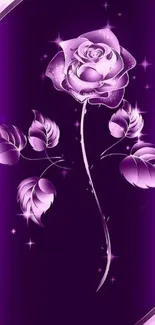 Elegant purple rose wallpaper with shimmering floral design.