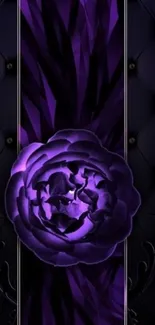 Elegant purple rose wallpaper with luxurious dark tones.