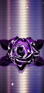 Elegant purple rose on metallic background wallpaper.